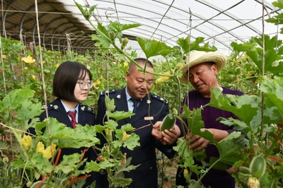 戈壁灘上“菜園子”直通“菜籃子”，水產養殖助力現代農業展宏圖